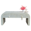 20251104_151131 WDN BONE INLAY U COFFEE TABLE WITH 2 DRAWER