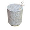 20251111_145549 WDN MOTHER OF PEARL INLAY FLORAL SIDE TABLE IN WHITE FINISH