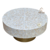 WDN MOTHER OF PEARL INLAY FLORAL COFFEE TABLE IN WHITE FINISH