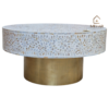 WDN MOTHER OF PEARL INLAY FLORAL COFFEE TABLE IN WHITE FINISH