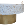 WDN MOTHER OF PEARL INLAY FLORAL COFFEE TABLE IN WHITE FINISH
