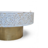 HANDCRAFTED WHITE MOTHER OF PEARL INLAY FLORAL COFFEE TABLE | ROUND CENTER TABLE
