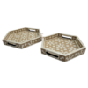 1 trays